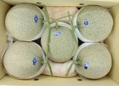 今が旬！大玉サイ高知県産温室マスクメロン5玉入り 約11.4㎏（下箱込み