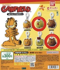 GARFIELD ガーフィールド めじるしアクセサリー 2種セットのサムネイル
