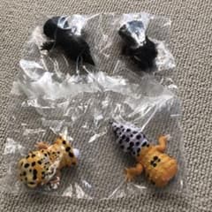 ガシャポン　レオパードゲッコーのサムネイル