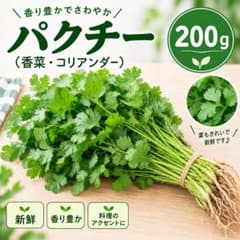 採れたて新鮮 パクチー 香菜 コリアンダー 200g - メルカリ