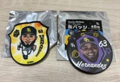 ヘルナンデス 缶バッジ ワッペン ホークス 若鷹ガチャ　ランダムのサムネイル
