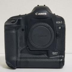 (Final Price Reduction) Canon EOS-1D Mark II Digital SLR Camera