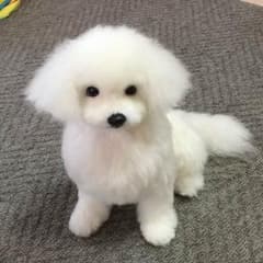 羊毛フェルト♡マルチーズ参考♡のサムネイル
