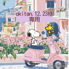 yukiemon hハンドメイド ダブルファスナーポーチ 大 クリアタイプ ユキエモンルームメイト✤ダブルファスナークリアポケットポーチ