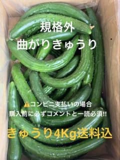 群馬県産　ハウス栽培　訳あり規格外　曲がりきゅうり　4kg 送料込　日付指定不可のサムネイル