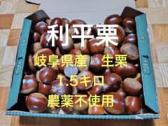 岐阜県産　生栗 約1.5kg 農薬不使用　利平栗のサムネイル