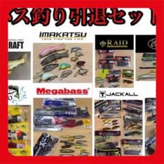 早い者勝ち！】バス釣り引退セット ルアー＆ワーム79点＋おまけ - メルカリ