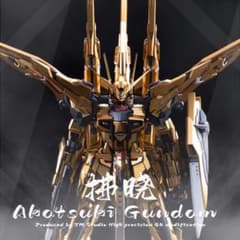 MG アカツキ ガンダム 新品未組立 改造パーツ オオワシパック シラヌイパック MG アカツキ ガンダム 新品未組立 改造パーツ オオワシパック シラヌイ