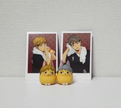 ハイキュー!!　宮兄弟のサムネイル