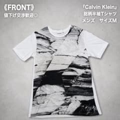 人気 Calvin Kleinカルバンクライン 半袖Tシャツ 総柄 ロゴ Mのサムネイル