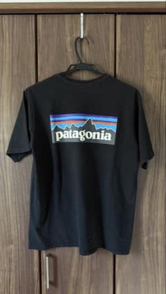 パタゴニアTシャツ　Mサイズのサムネイル