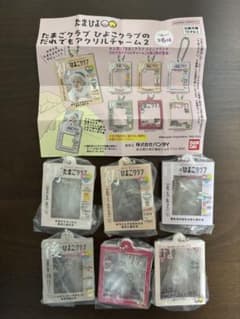 たまひよ だれでもアクリルチャーム2 全6種 コンプリートのサムネイル