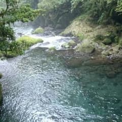 #022 ひい様専用のサムネイル
