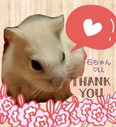 石ちゃん♡( ᴗ̤ .̮ ᴗ̤人) アリガトォ*•.❥*のサムネイル