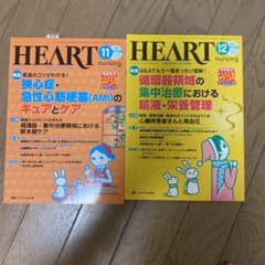 ハートナーシング HEART nursing 第24巻no.11  no.12のサムネイル