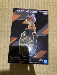 Crazy Raccoon CR モニタートップフィギュア ありさか