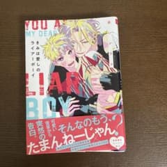きみは愛しのライアーボーイのサムネイル