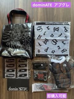 Stray Kids dominATE スキズ　アップグレード　特典グッズのサムネイル
