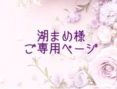 湖まめ様ご専用⟡.*89可憐な♡濃いめ ピンクローズ つぼみ - メルカリ