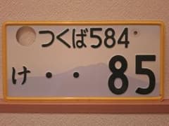 美品 観賞用 普通車 元気の花を日本中に咲かせようナンバープレート