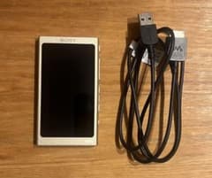 SONY ウォークマン NW-A47 64GB ペールゴールド ハイレゾ対応のサムネイル