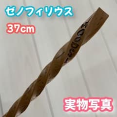 [해리 포터] 마법 지팡이--제노필리우스! 금속심 첨부, 중량감 넘치는!_1