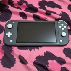 Nintendo Switch Lite 本体 グレー