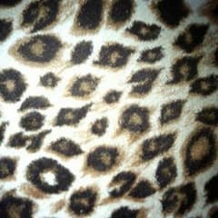 nonkijii1998さん専用♥のサムネイル