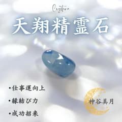 m26852875148_1.jpg?1756697747