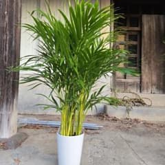 ハチ様 リクエスト 5点 まとめ商品 Do様 リクエスト zx様 リクエスト 3点 まとめ商品 - メルカリ