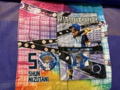 北海道日本ハムファイターズ 水谷瞬選手 タオル 缶バッジ アクキーのサムネイル