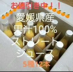 愛媛県産果汁100%ストレートジュースのサムネイル