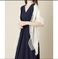 AIMER エメ ホワイトラメパールレースショールのサムネイル