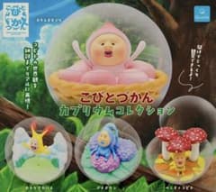こびとづかん カプリウムコレクションのサムネイル