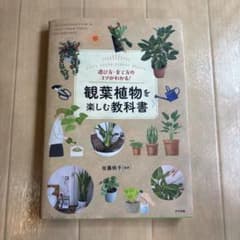 選び方・育て方のコツがわかる!観葉植物を楽しむ教科書のサムネイル