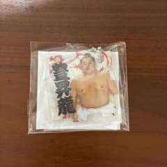 大相撲 豊昇龍 つながるパズルキーホルダー JAPAN sumoのサムネイル