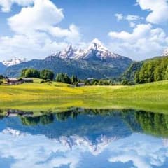 スイス様 専用 財布のサムネイル