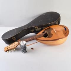 国島マンドリン　NO.104　ハードケース・鼈甲ピック付　M　R9251H 国島マンドリン NO.104 ハードケース・鼈甲ピック付 M R9251H