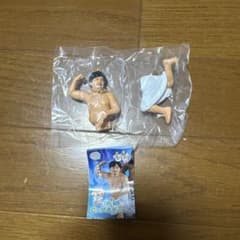 体格ブラザーズ カプセルトイ フィギュア 平子さんのサムネイル
