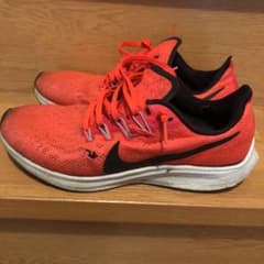 NIKE ナイキペガサス36のサムネイル