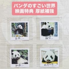 あ*こ様 パンダのすごい世界 香香 和花 福宝 盼青の第一子 入場者特典　入場 パンダのすごい世界 香香 福宝 和花 盼青の第一子 入場者特典 入場