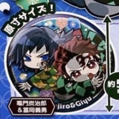 鬼滅の刃 ぴたでふぉめ 無限城編弐 缶バッジ 竈門炭治郎＆冨岡義勇