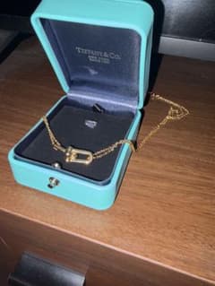 TIFFANY&Co. ハードウェア リンク ネックレスのサムネイル