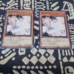 遊戯王 灰流うらら ノーマル2枚のサムネイル