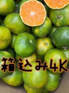 愛媛県産ご家庭用極早生みかん 箱込み 4Kg　果物 柑橘 ミカンのサムネイル