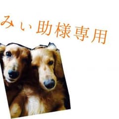 キャバドレスのサムネイル