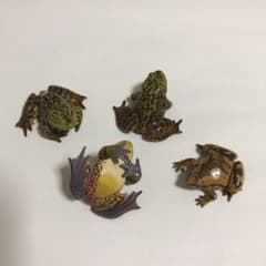 専用　同じカエル3匹のみのサムネイル