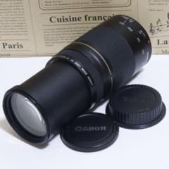 ◇超望遠&高速AF◇ Canon純正 75-300mm II型 望遠レンズ ◇ - メルカリ