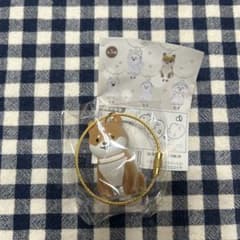 わんこのタイムカプセル　まめ　新品未使用のサムネイル