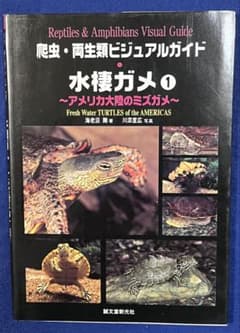 爬虫・両生類ビジュアルガイド 水棲ガメ1 アメリカ大陸のミズガメのサムネイル